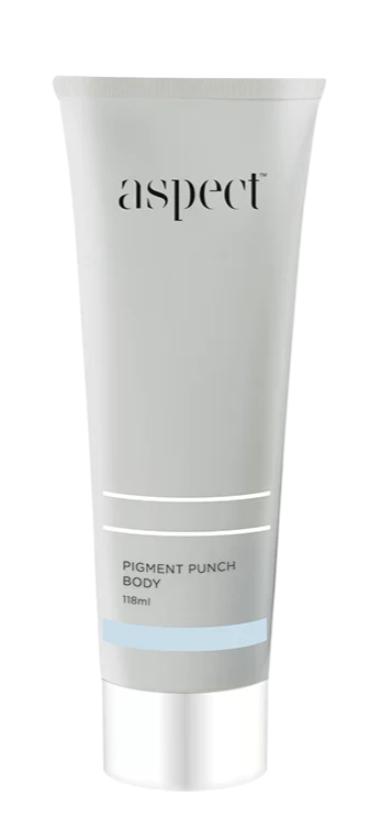 Aspect Pigment Punch Body-220ml